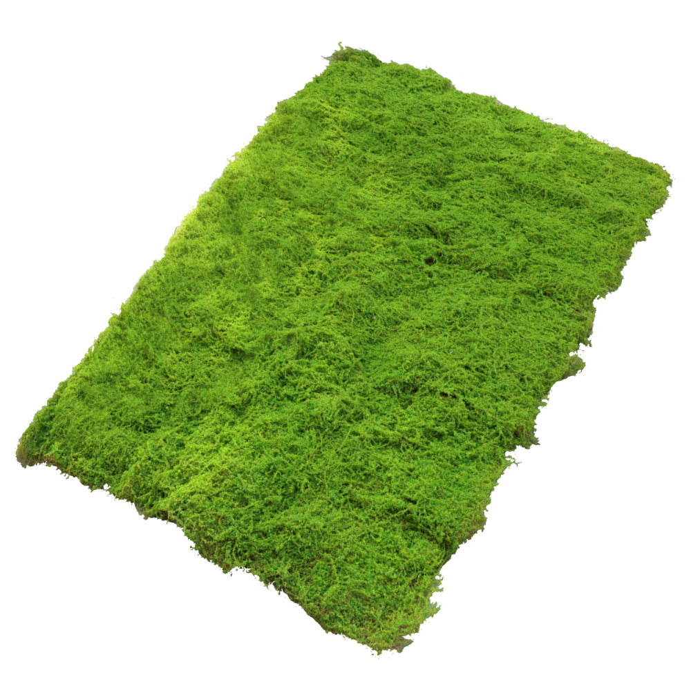 Preserved Moss Sheet - Tappetino in erba sintetica effetto muschio,