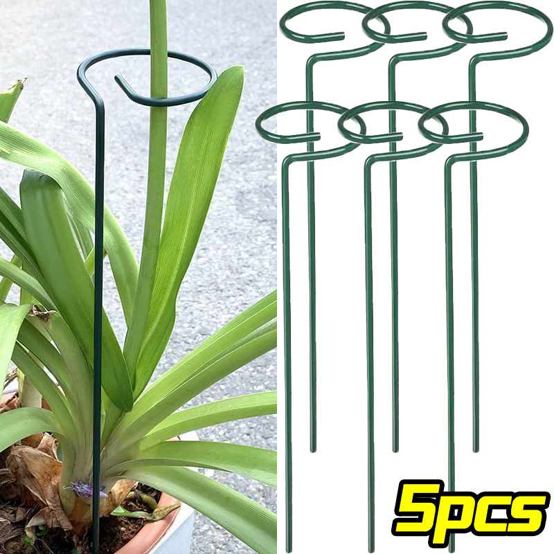 Florist Supply Bulk - 1/10pcs Supporto da giardino Palo Anello