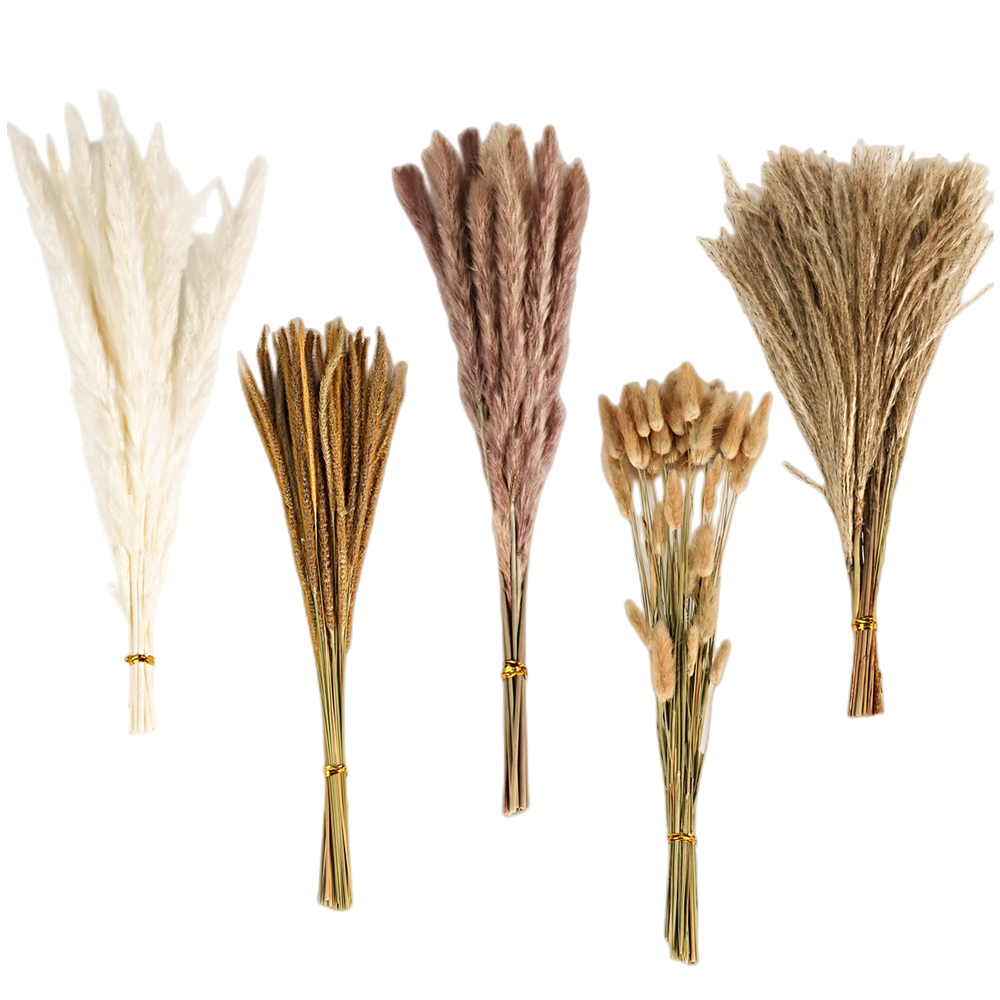 Florist Supply Vases - Bouquet di Fiori Secchi Misti Vintage