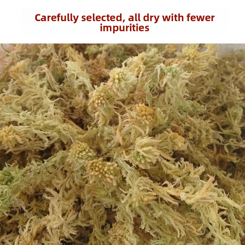 Muschio di Sphagnum Essiccato  - Preserved Moss Sheet recensione e prezzo