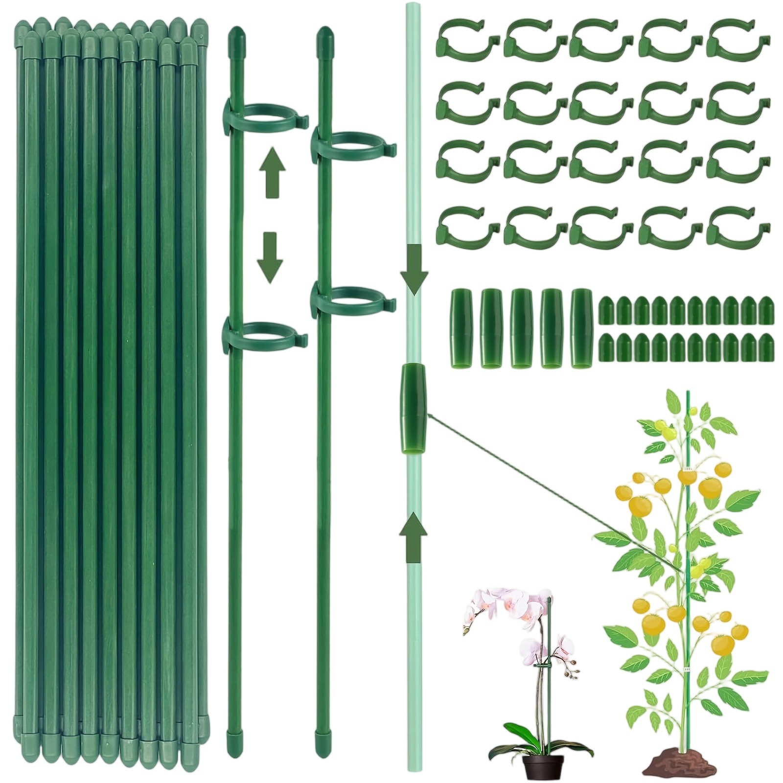 Supporti per Piante, Pali da G - Florist Supply Bulk recensione e prezzo