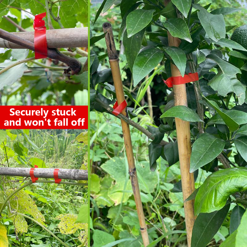 Macchina Legatrice per Piante  - Florist Supply Bulk recensione e prezzo