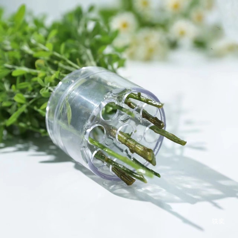 Supporto per stelo a spirale R - Florist Supply Bulk recensione e prezzo